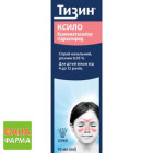 Тизин ксило