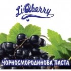 Черносмородиновая паста LIQberry
