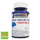 Альфа-холін гліцерофосфат + Коензим Q10 POWERFUL