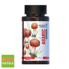Гриб Агарік Mushroom Pharmacy Agaric