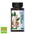 Гриб Веселка Mushroom Pharmacy Veselka