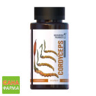 Гриб Кордіцепс Mushroom Pharmacy Cordyceps