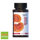 Гриб Рейши Mushroom Pharmacy Reishi