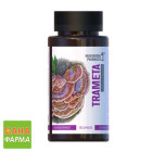 Гриб Трамета Mushroom Pharmacy Trameta