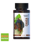 Гриб Чага Mushroom Pharmacy Chaga