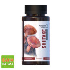 Гриб Шиїтаке Mushroom Pharmacy Shiitake