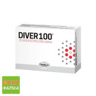 Дивер 100 (DIVER 100)