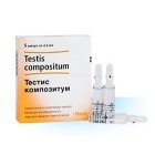 Тестис композитум