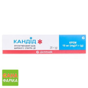 Кандид